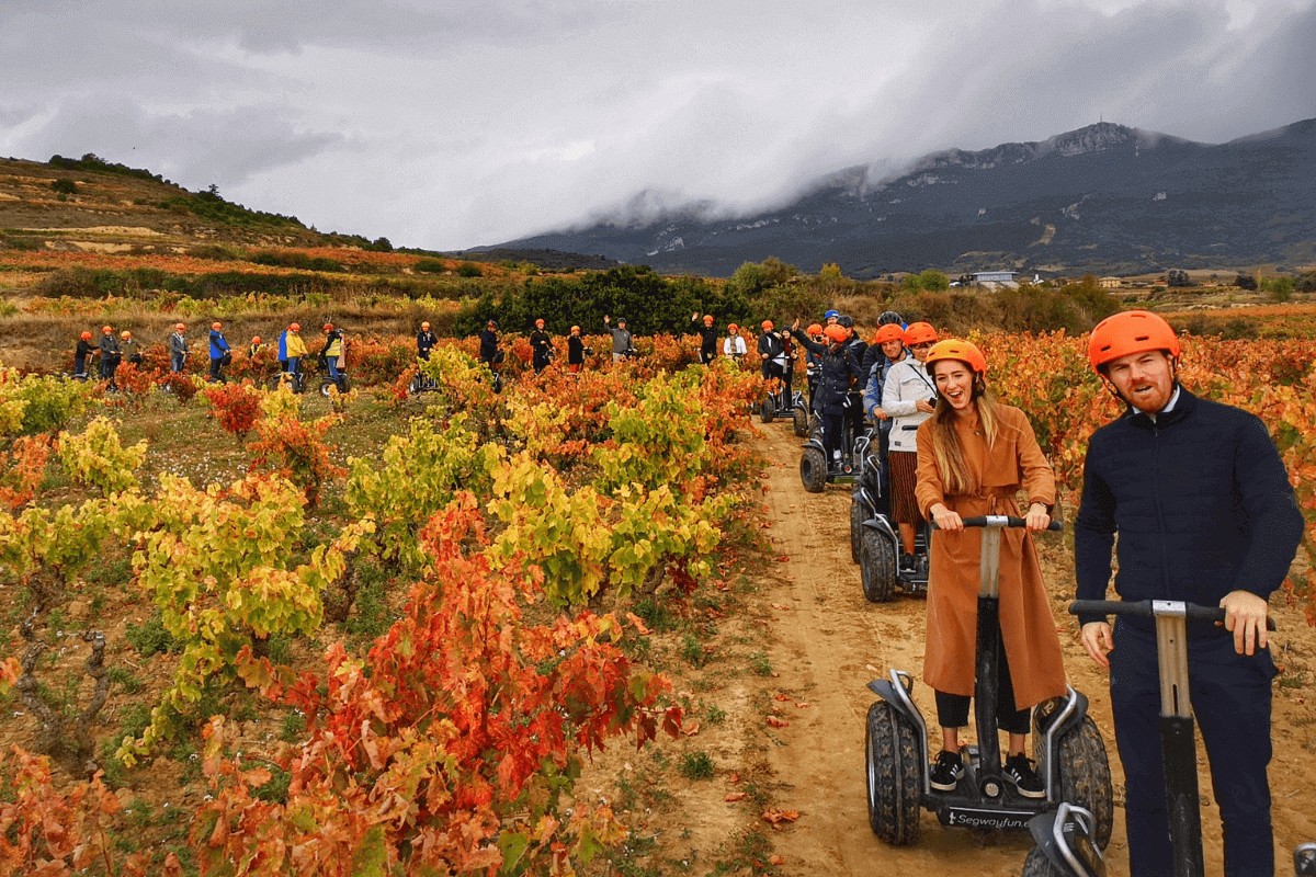 Segway Between Vineyards