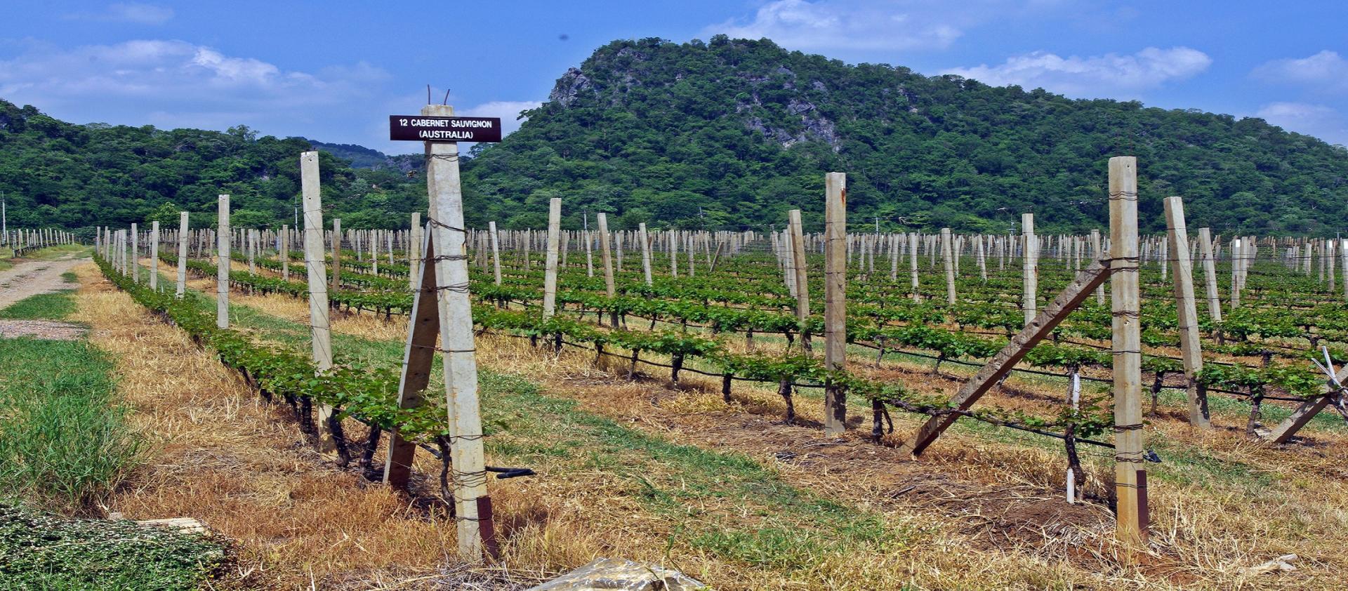 Photo for: Khao Yai Valley